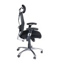 Fotel ergonomiczny CorpoComfort BX-4028A Czarny-22244