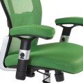 Fotel ergonomiczny CorpoComfort BX-4147 Zielony-25497