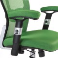 Fotel ergonomiczny CorpoComfort BX-4147 Zielony-25498