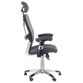 Fotel ergonomiczny CorpoComfort BX-4147 Szary-25512
